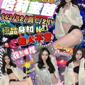 台北定點茶-哈莉奎茵