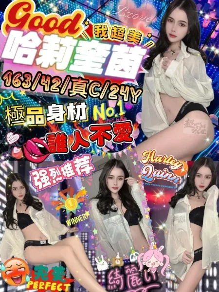 台北定點茶-哈莉奎茵