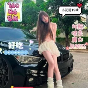 台南定點茶-小花葵