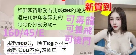智雅客評3
