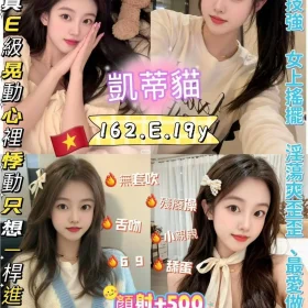 新北定點茶-凱蒂貓