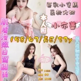 新竹定點茶-小布蕾