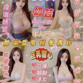 新竹定點茶-奶芸